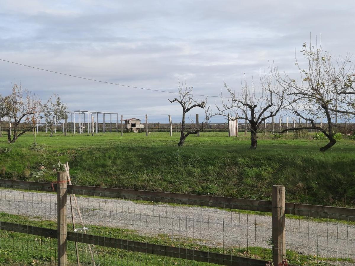 Au Temps Retrouve Bed and Breakfast Nouans-les-Fontaines Εξωτερικό φωτογραφία